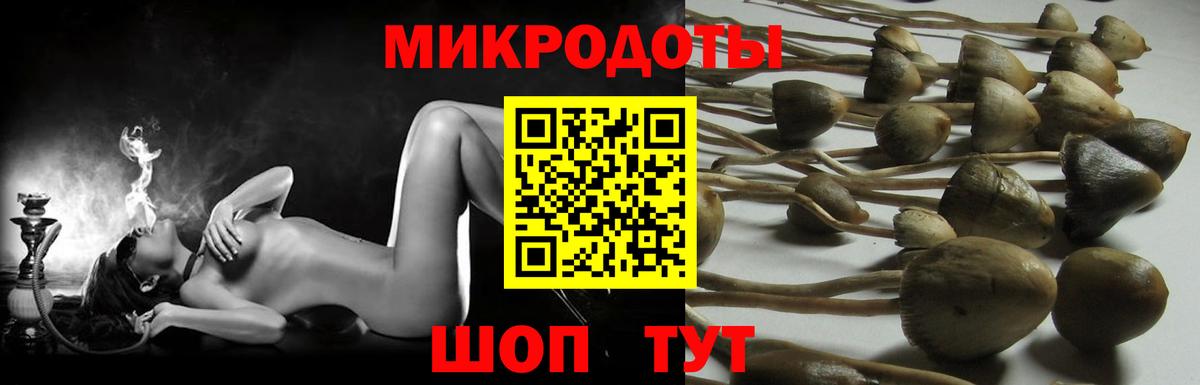 Галлюциногенные грибы Cubensis  Вход с VPN  Галлюциногенные грибы MAGIC MUSHROOMS  Шебекино 